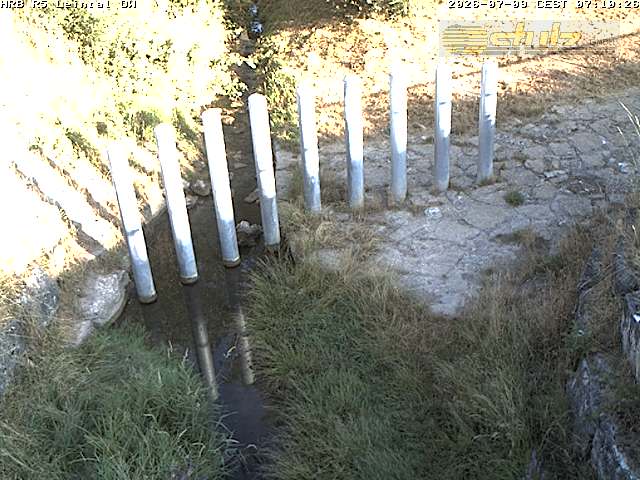 Camera Live Image